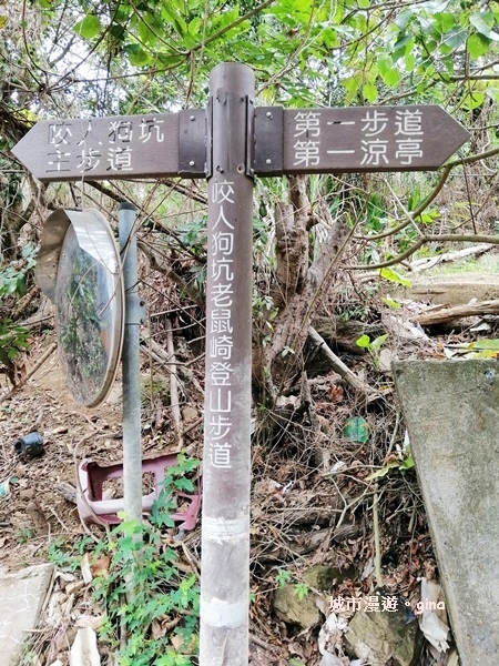 IMG_20190317_110233.jpg IMG_20190317_110233.jpg