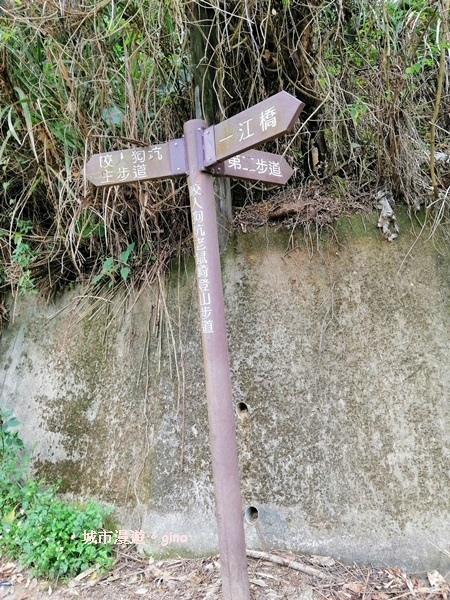 IMG_20190317_110420.jpg IMG_20190317_110420.jpg