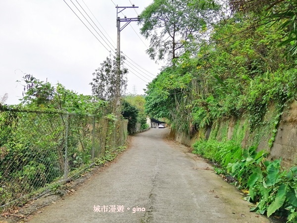 IMG_20190317_110453.jpg IMG_20190317_110453.jpg