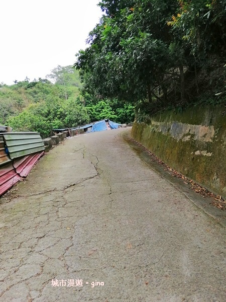 IMG_20190317_110802.jpg IMG_20190317_110802.jpg