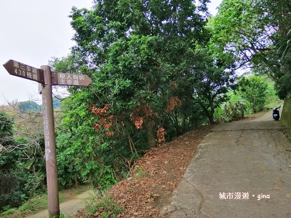 IMG_20190317_111434.jpg IMG_20190317_111434.jpg