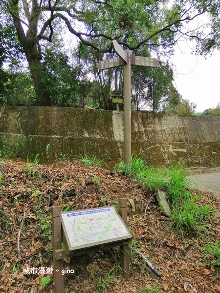 IMG_20190317_111356.jpg IMG_20190317_111356.jpg