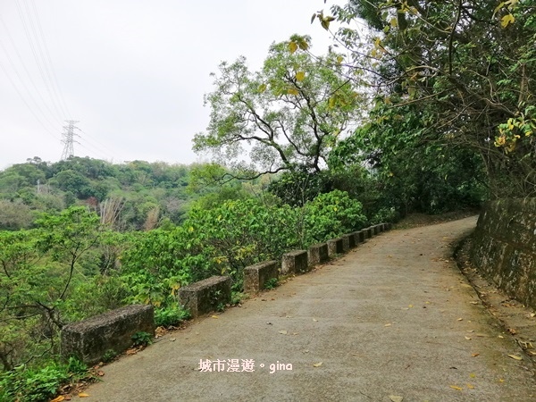 IMG_20190317_111742.jpg IMG_20190317_111742.jpg