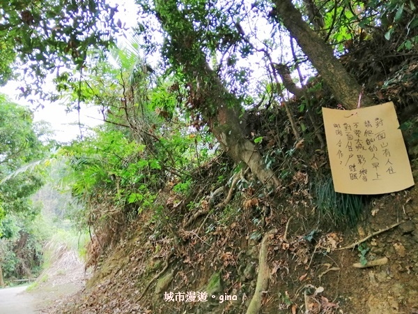 IMG_20190317_112543.jpg IMG_20190317_112543.jpg