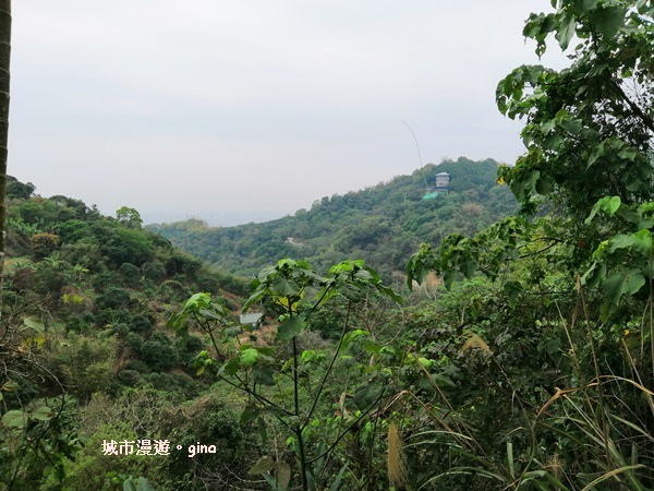 IMG_20190317_113402.jpg IMG_20190317_113402.jpg