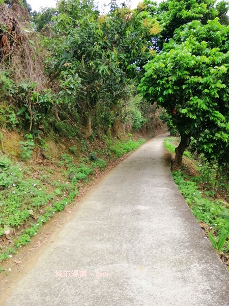 IMG_20190317_113856.jpg IMG_20190317_113856.jpg