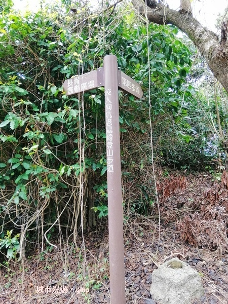 IMG_20190317_114032.jpg IMG_20190317_114032.jpg