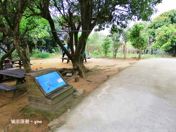 IMG_20190317_114705.jpg IMG_20190317_114705.jpg