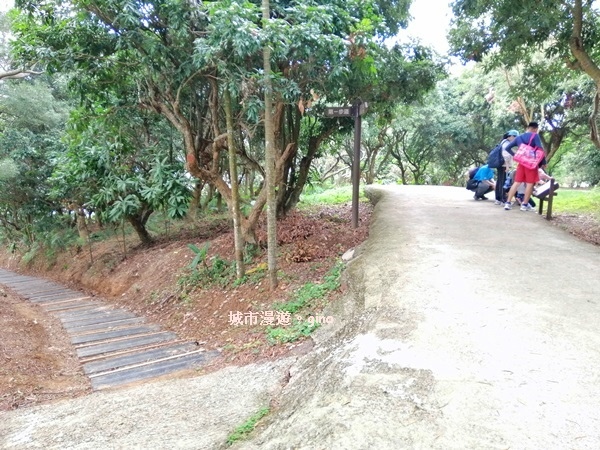 IMG_20190317_114926.jpg IMG_20190317_114926.jpg