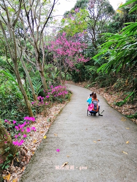 IMG_20190317_115533.jpg IMG_20190317_115533.jpg