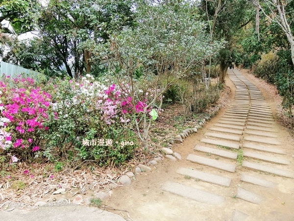 IMG_20190317_120040.jpg IMG_20190317_120040.jpg