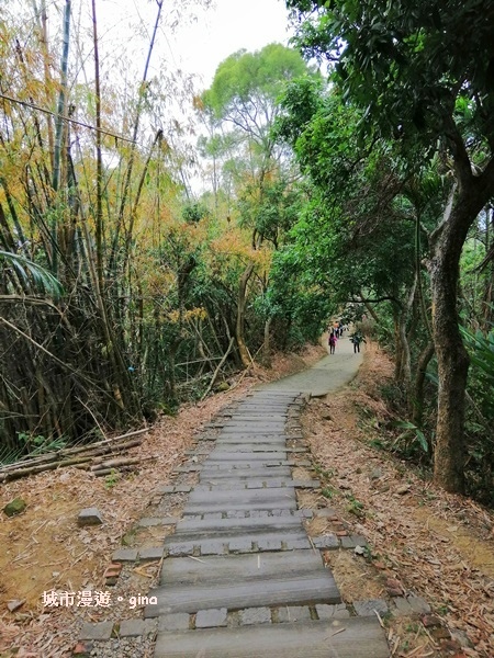 IMG_20190317_120608.jpg IMG_20190317_120608.jpg