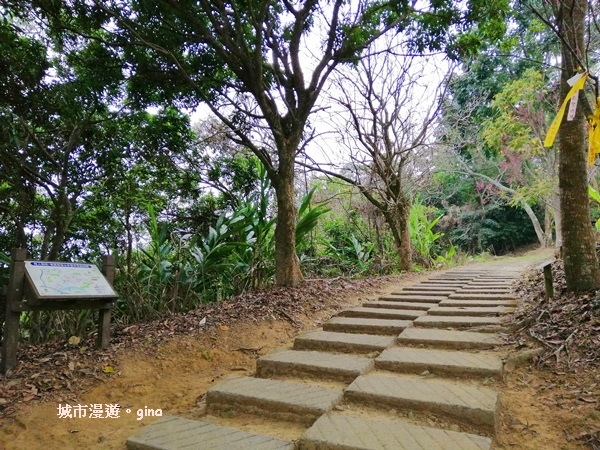 IMG_20190317_121417.jpg IMG_20190317_121417.jpg