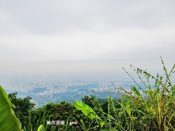 IMG_20190317_122048.jpg IMG_20190317_122048.jpg