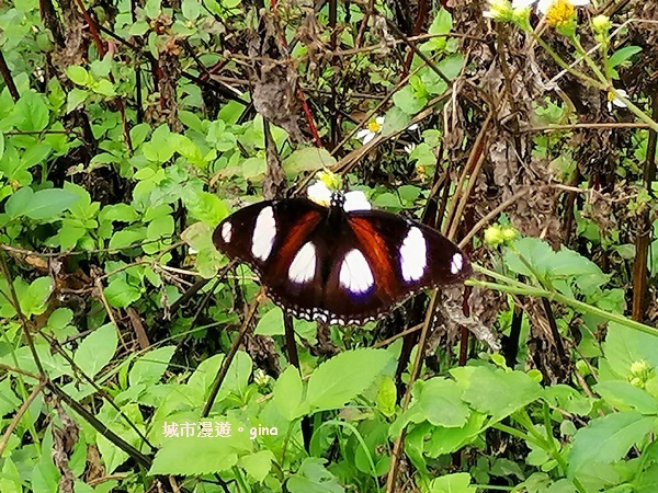 IMG_20190317_123811.jpg IMG_20190317_123811.jpg