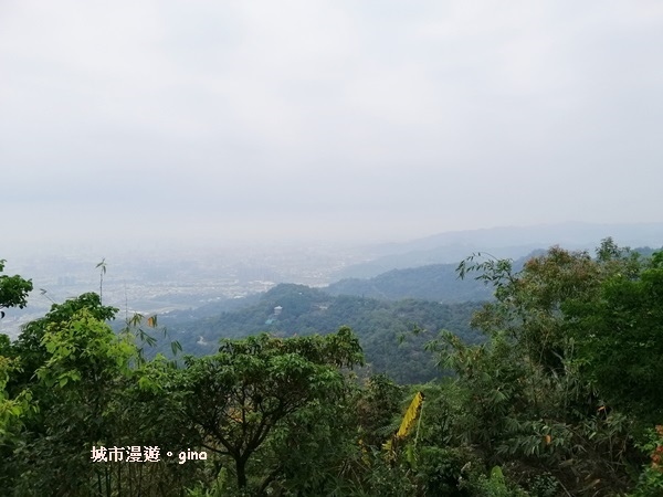 IMG_20190317_123943.jpg IMG_20190317_123943.jpg