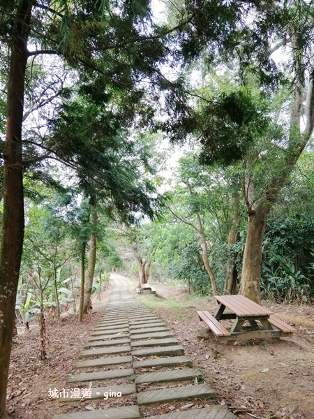 IMG_20190317_124123.jpg IMG_20190317_124123.jpg