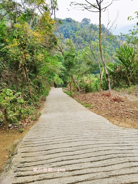 IMG_20190317_124124.jpg IMG_20190317_124124.jpg