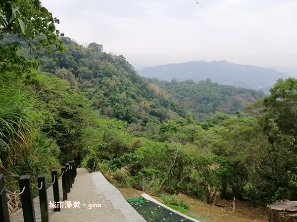 IMG_20190317_125628.jpg IMG_20190317_125628.jpg