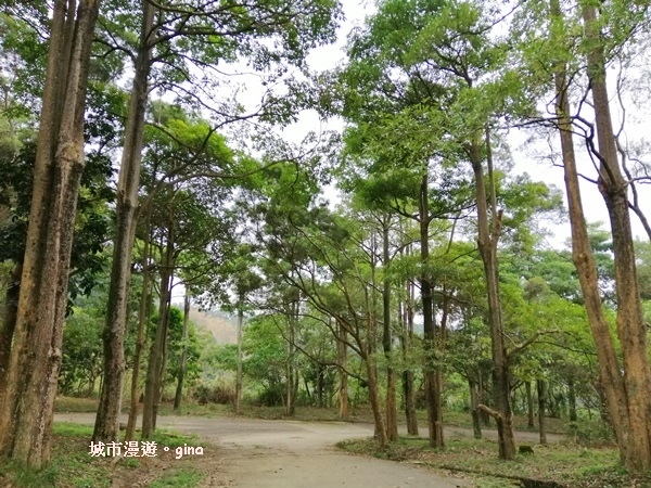 IMG_20190317_130428.jpg IMG_20190317_130428.jpg