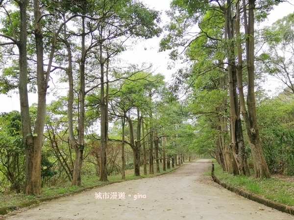 IMG_20190317_130610.jpg IMG_20190317_130610.jpg