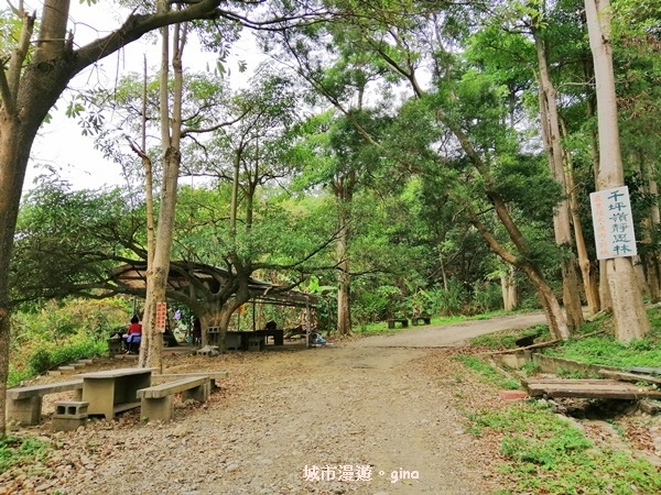 IMG_20190317_131327.jpg IMG_20190317_131327.jpg