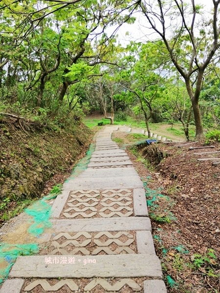 IMG_20190317_131515.jpg IMG_20190317_131515.jpg