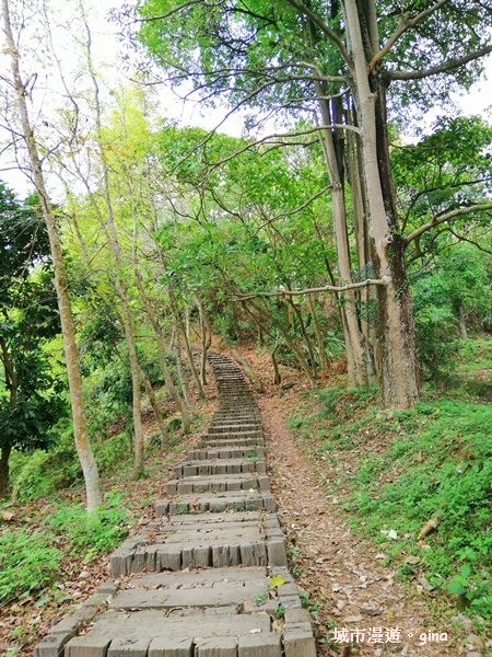 IMG_20190317_132104.jpg IMG_20190317_132104.jpg