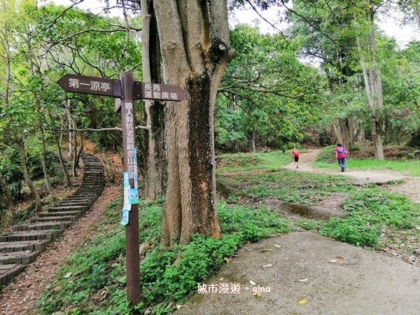 IMG_20190317_132110.jpg IMG_20190317_132110.jpg