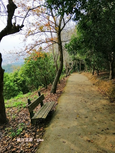 IMG_20190317_132221.jpg IMG_20190317_132221.jpg