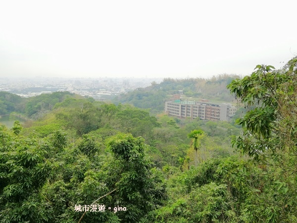 IMG_20190317_132523.jpg IMG_20190317_132523.jpg