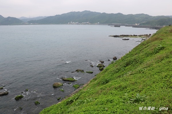 IMG_0049.JPG IMG_0049.JPG