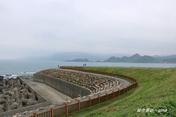 IMG_0058.JPG IMG_0058.JPG