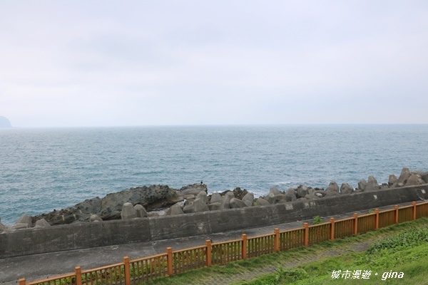 IMG_0062.JPG IMG_0062.JPG