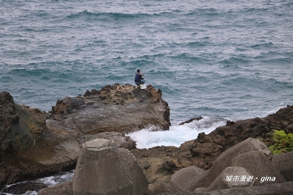 IMG_0066.JPG IMG_0066.JPG