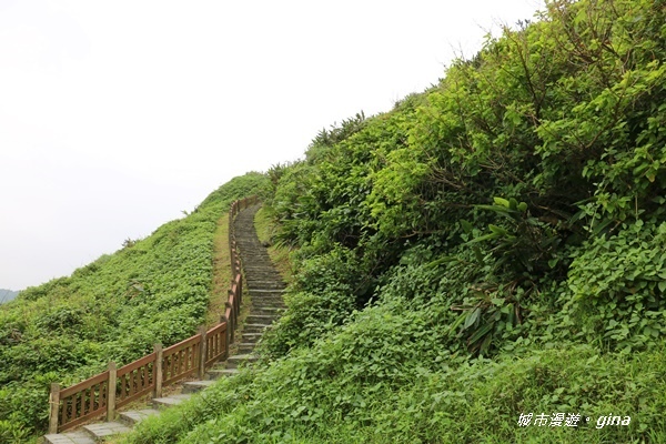 IMG_0091.JPG IMG_0091.JPG