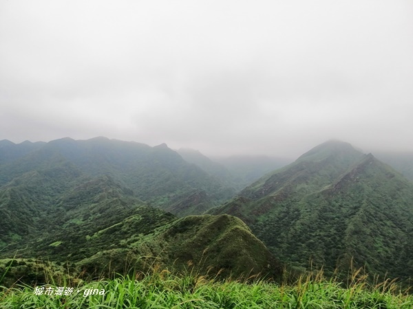 IMG_20190329_161303.jpg IMG_20190329_161303.jpg