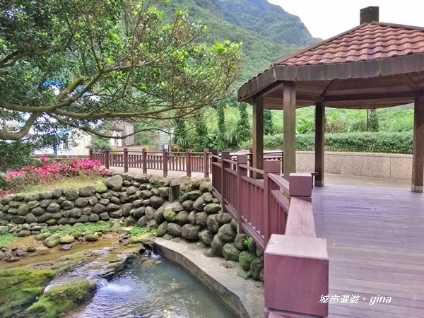 IMG_20190329_161306.jpg IMG_20190329_161306.jpg