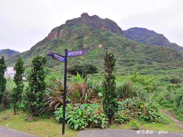 IMG_20190329_161407.jpg IMG_20190329_161407.jpg