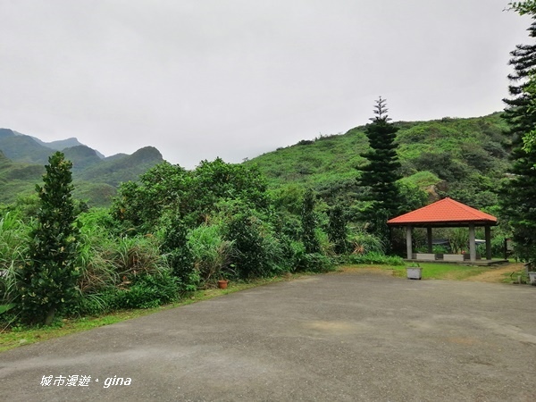 IMG_20190329_161410.jpg IMG_20190329_161410.jpg