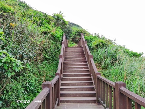 IMG_20190329_162101.jpg IMG_20190329_162101.jpg