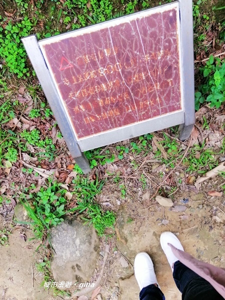 IMG_20190329_162130.jpg IMG_20190329_162130.jpg