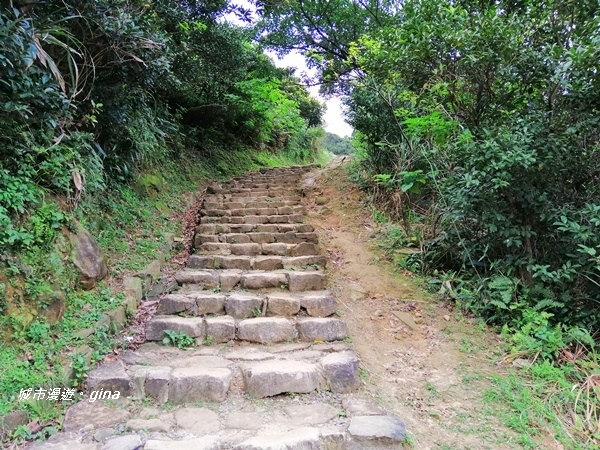 IMG_20190329_162244.jpg IMG_20190329_162244.jpg