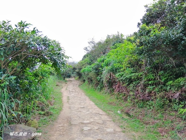 IMG_20190329_162344.jpg IMG_20190329_162344.jpg