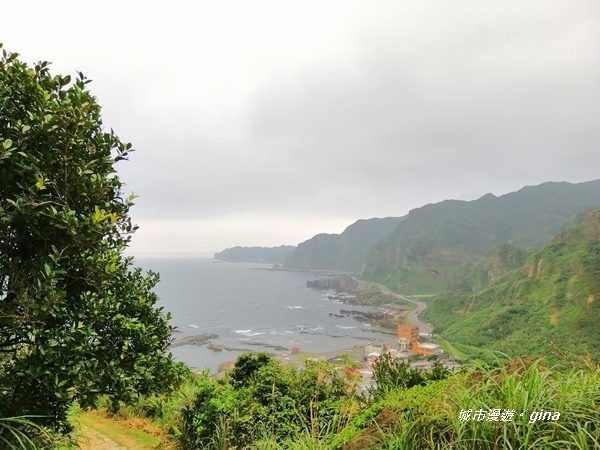 IMG_20190329_162608.jpg IMG_20190329_162608.jpg