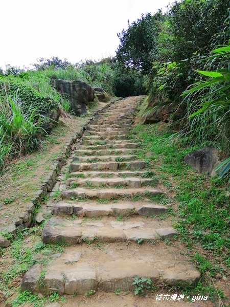 IMG_20190329_162533.jpg IMG_20190329_162533.jpg