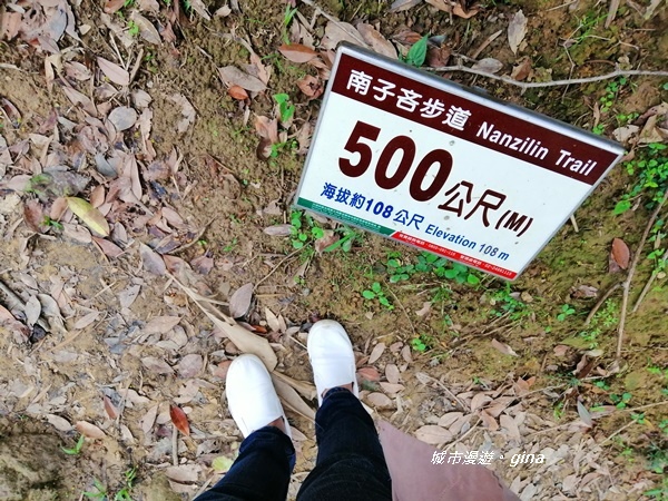 IMG_20190329_162738.jpg IMG_20190329_162738.jpg