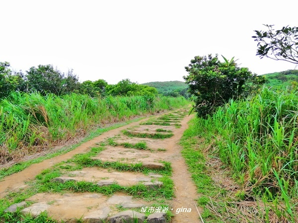 IMG_20190329_163251.jpg IMG_20190329_163251.jpg