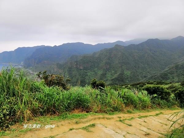 IMG_20190329_163804.jpg IMG_20190329_163804.jpg