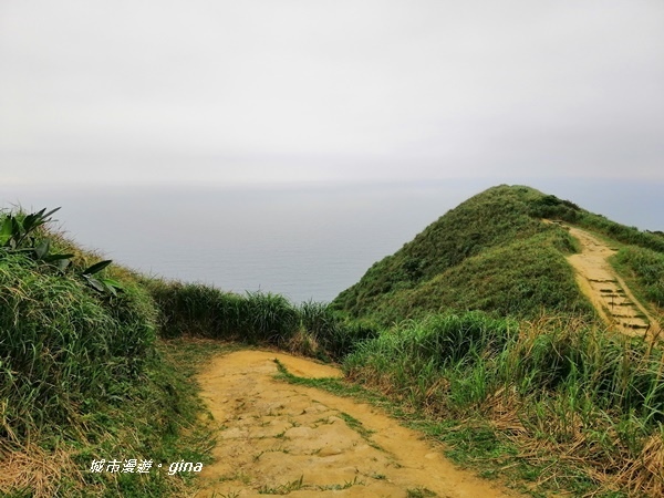 IMG_20190329_164030.jpg IMG_20190329_164030.jpg